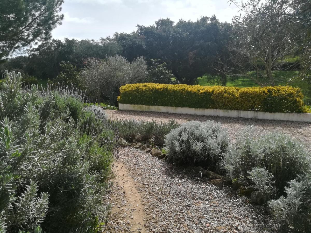 Quinta Do Cano ايفورا المظهر الخارجي الصورة
