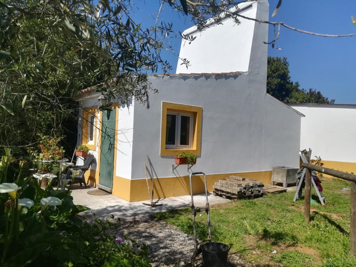 Quinta Do Cano ايفورا المظهر الخارجي الصورة
