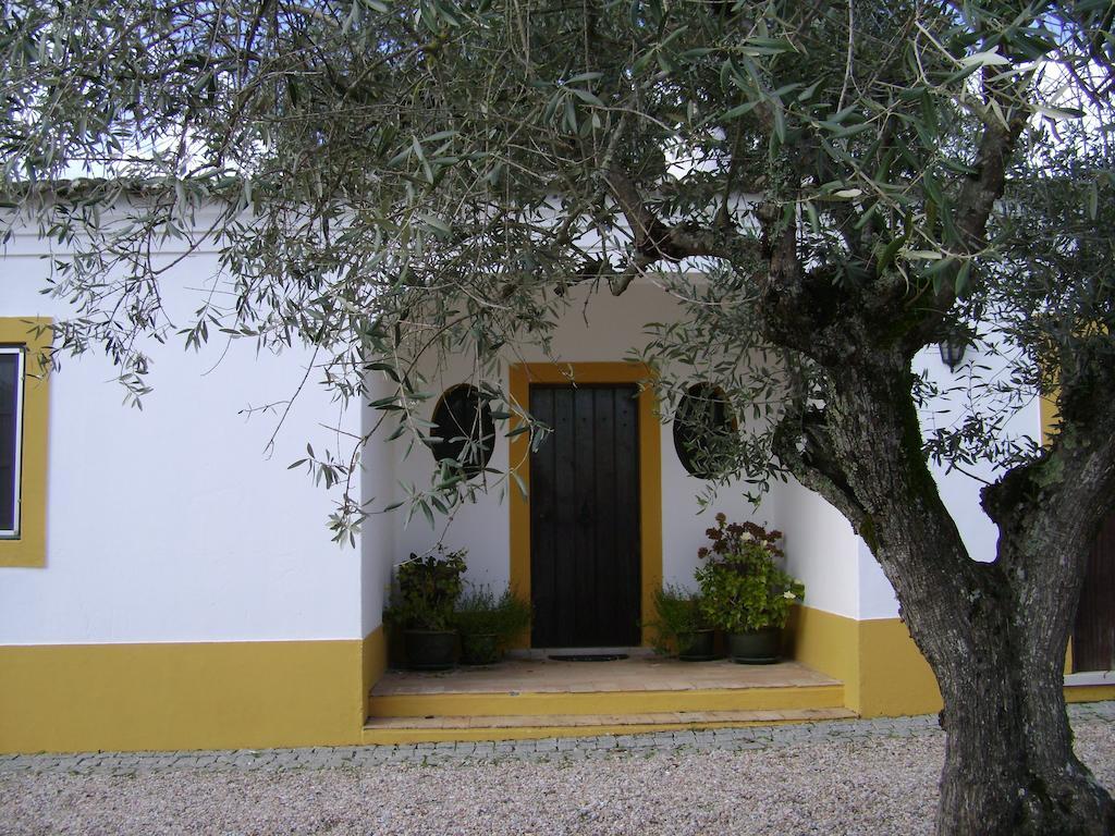 Quinta Do Cano ايفورا المظهر الخارجي الصورة