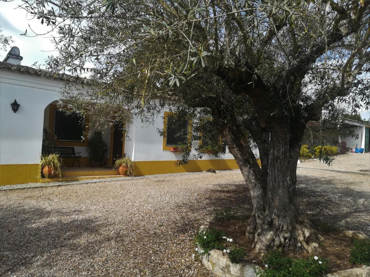 Quinta Do Cano ايفورا المظهر الخارجي الصورة
