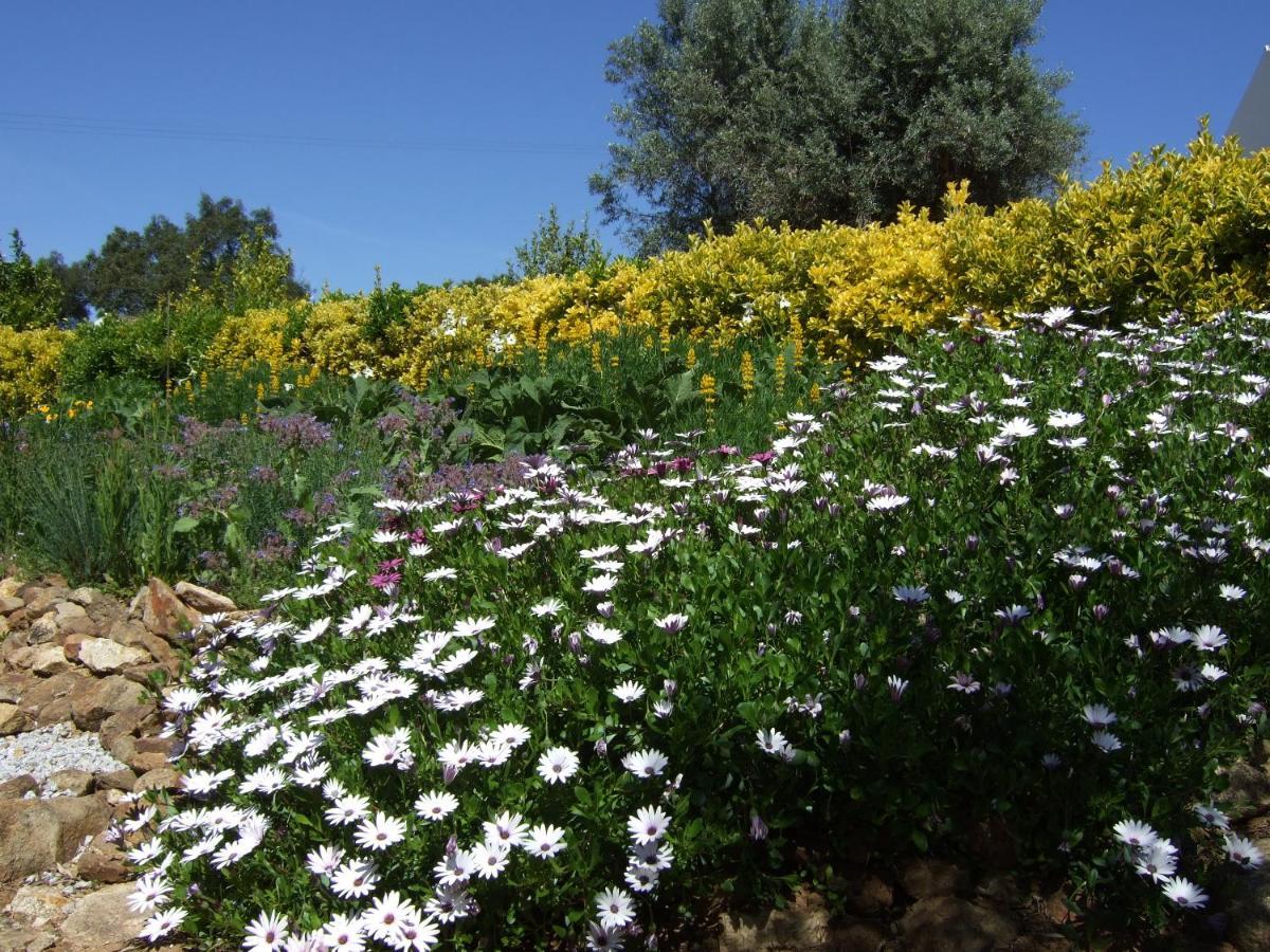 Quinta Do Cano ايفورا المظهر الخارجي الصورة
